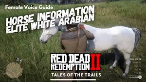 Elite white arabian horse rdr2. Red Dead Redemption 2 Horse Information Rare Elite White Arabian Horse Female Voice Guide Youtube