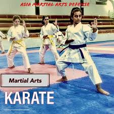 نادي كاراتيه Karate Martial Arts Martial