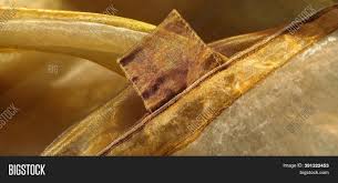 We did not find results for: Curtain Loops Image Photo Free Trial Bigstock