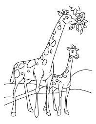 Wylreh about giraffe coloring page on with hd resolution 1496x1968. Coloring Page Leaves 31883 Giraffe Coloring Pages Leaf Coloring Page Coloring For Kids