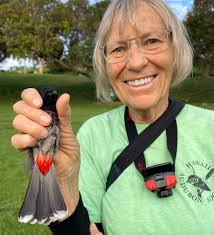 Farewell and fair winds, dear kolea