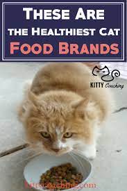 Healthiest Cat Food Brands 2018 Healthy Cat Food Healthy Cat Food Brands Cat Food Brands