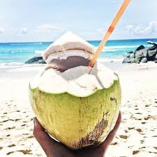 Drink Out Of A Coconut On The Beach Updated Done Coconut Surfing Summer Of Love