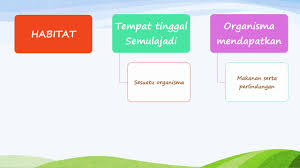 Saling bersandaran antara organisasi hidup dengan persekitaran. Sains Tingkatan 2 Bab 4 Part 1 Of 5 Youtube