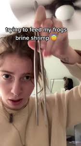 mary and jane content #frogtok🐸 #africandwarffrog #newmommy #feedingtime  #frogs