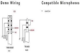 Pin 2 of xlr to trs phono jack tip. Trs Vs Trrs Which Cable Type Should You Go For The Cables Land