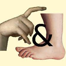 Here, you can play your favorite game canasta for free, online, against real players, and at own tables with custom rules. Play Hand And Foot Online From Your Browser Board Game Arena