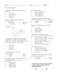 Displaying all worksheets related to dna replication answer key. Dna And Rna Structure And Function Worksheet Answers