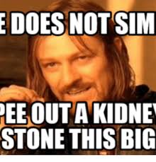 Kidney stone humor images | if you or a loved one has ever passed a kidney stone this is a perfect gift. E Does Not Sim Heeoutankidne Stone This Big Sim Meme On Me Me