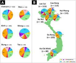 phylogeographic and genome wide investigations of vietnam