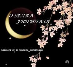 Nu sunt disperata ci te iubesc mult! Ganduri La O Cafea Anitanna S Blog La Cafeneaua Trandafirul Rosu