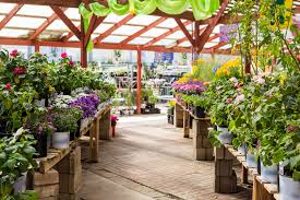 How to open a garden centre. Second Lockdown Will Garden Centres In England Stay Open