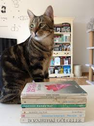 Moonlightcat13 Arkadaslarim Bana Benzer Kitap Kitapcilar Arkadaslar