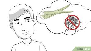 Aloe vera kökte meydana getirdiği yavruların ayrılması ile kolayca çoğaltılır. Aloe Vera Yapragi Kullanilarak Aloe Vera Bitkisi Nasil Yetistirilir