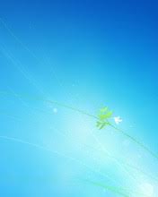 Maybe you would like to learn more about one of these? Download Free Mobile Phone Wallpaper Windows 7 2025 Mobilesmspk Net