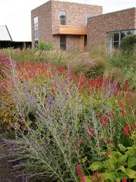 Nl Hummelo Garden Piet Oudolf Bepflanzung Garten Gras