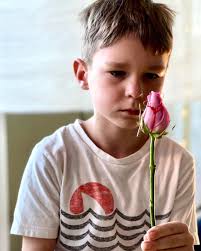 Lin Jingjing (@ljjarts) • Instagram-Fotos und -Videos