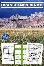 Grassland Habitats Activities Habitat Activities Grassland Learning Games For Kids
