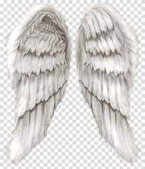 Pair Of White Wings Cherub Wing Angel Angel Wings Transparent Background Png Clipart Angel Wings Art Angel Wings Png Angel Wings Illustration