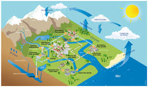 Aujourd'hui, il nous suffit d'ouvrir le robinet pour profiter à volonté d'une eau de qualité. Decouvrez Le Cycle De L Eau Saur Service Client