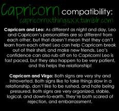 capricorn and leo tumblr