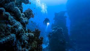 The Bends Scuba Diving Decompression Sickness Idiveblue
