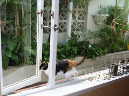 .door isideal for sliding glass doors or glass panels, as well as solid wooden panels and doors. Need A Cat Flap Or Doggy Door Read This First