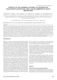 Image result for Bulbostylis coleotricha