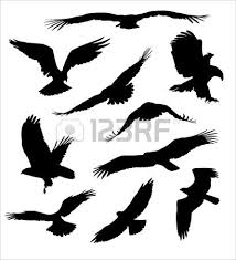 Bird Of Prey Tattoo Designs Bird Of Prey Stock Vector Small Eagle Tattoo Eagle Tattoo Bird Of Prey Tattoo