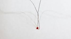 Das könnte sie auch interessieren: Diy Baumschmuck Aus Perlen Tutorial Nahskapaden