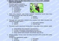 Kunci jawaban tantri basa jawa kelas 3 halaman 74 : Download Buku Siswa Bahasa Jawa Kelas 3 Sd Mi Rief Awa Blog