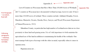 Abstracts And Appendices Apa 6th Edition Guide Rasguides At Rasmussen University