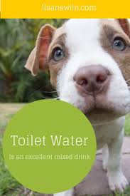 Profile for Lisa Newlin