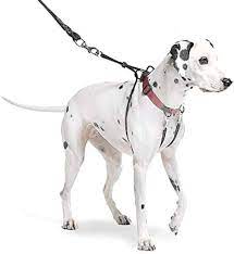Sporn Pet DSP10043 Large No Pull Halter - Red : Amazon.co.uk: Pet Supplies