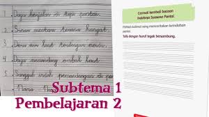 Brainly.co.id demikianlah pembahasan yang dapat kami sampaikan mengenai font contoh tulisan tegak bersambung yang bagus. Menulis Tegak Bersambung By Nizam Kelas 1 Tema 8 Subtema 1 Pembelajaran 2 Youtube