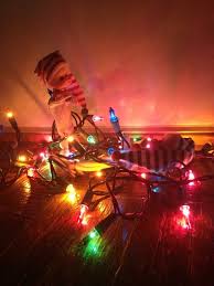 Elfs Tangled In Lights Elf On The Shelf Tangled Lights