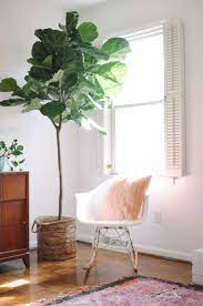 Where To Shop For Artificial Indoor Plants Love Lola Artificial Plants Decor Artificial Indoor Plants Plant Decor Indoor