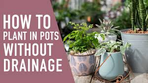 This would be the perfect time to find a pot liner to fit inside so both you and the plants are happy. Planting In Pots Without Drainage West Coast Gardens Youtube
