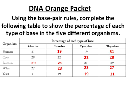 Maybe you would like to learn more about one of these? Complementary Base Pairing Rule Definition
