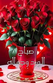 صباح الورد والياسمين يعطر الأجواء بـ الهدوء و الاطمئنان