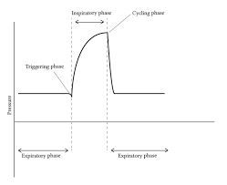 Phases Of The Mechanical Breath Deranged Physiology