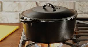 dutch oven chicken thigh recipe