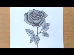 How To Draw A Rose Pencil Drawing And Shading Youtube Pencil Drawings Flower Drawing Flower Drawing For Kids