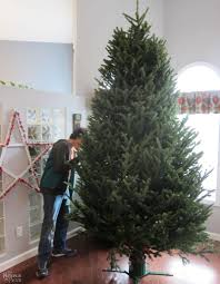 This refers to the time when queen victoria was on the throne. How To Decorate A Real Christmas Tree The Navage Patch