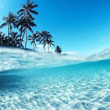 See more ideas about scenery, beach, beautiful places. Pretty Summer And Adventure Image 6062809 On Favim Com