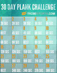 30 Day Plank Challenge From 20 Sec To 5 Mins 30 Day Plank Challenge Plank Challenge 30 Day Plank
