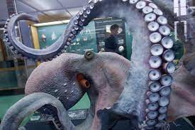 The biggest rivals of the seattle kraken are the vancouver canucks. Are The New Seattle Kraken Jerseys Good Pension Plan Puppets