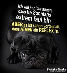 Sonntag S Bin Ich Faul Lustige Spruche Zum Sonntag Lustige Spruche Sonntag Bilder Lustig Schonen Sonntag Bilder Lustig