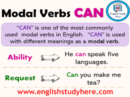 These are verbs that indicate likelihood, ability, permission or obligation. Modal Verbs Can Using And Example Sentences English Study Here
