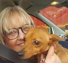 Cumnock: Islay Dog Rescue Centre desperate for volunteers